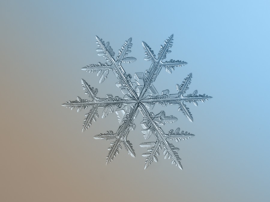flocon-neige-11-900x675